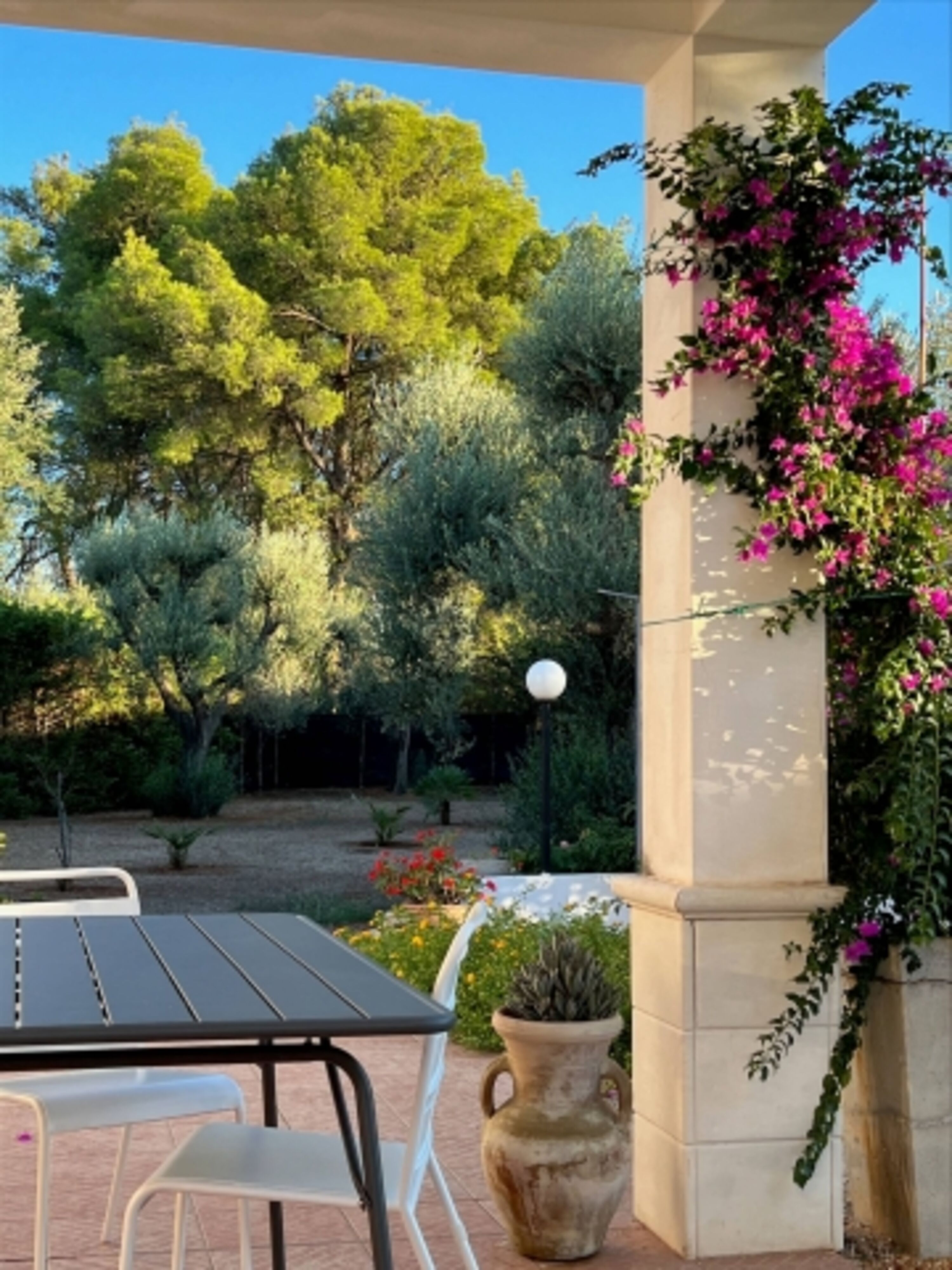 Blick in den Garten