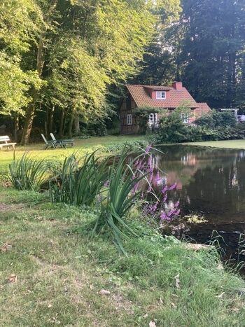 Liegen unter den Eichen mit Blick auf den Teich