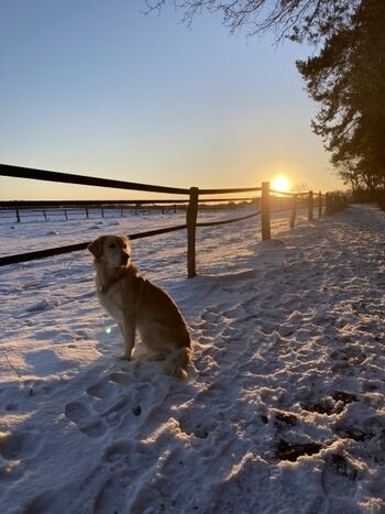 Winterwanderung an unseren Pferdeweiden