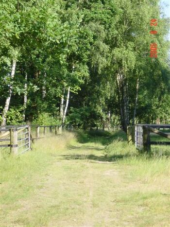 Schöne Wanderwege direkt ab Hof