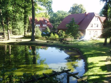 Morgendlicher Blick aus dem Ferienhaus auf das Hofgelände