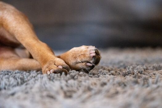 Mal die Füße hochlegen