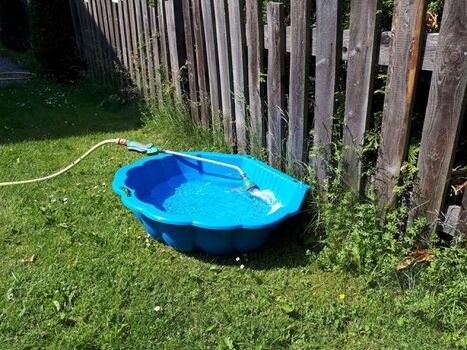 Abkühlung für heiße Pfoten im eigenen Garten 