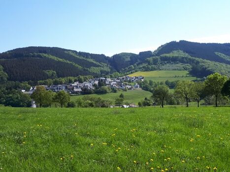 Blick von der gegenüberliegenden Talseite auf die Häuser am Wald 