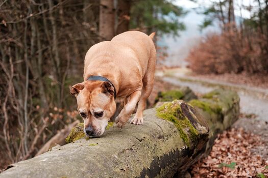 Tolle Abenteuer direkt vor der Tür