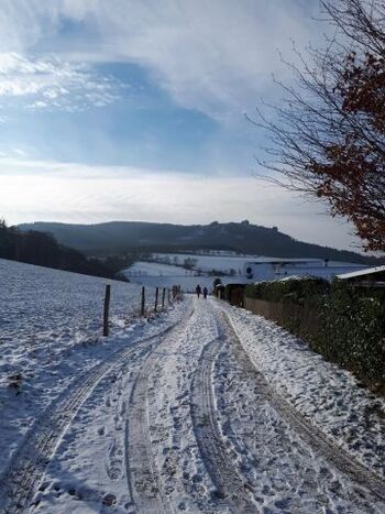 Weg oberhalb der Häuser am Wald - hier fangen unzählige Wanderwege an. 