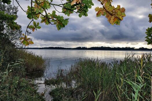 Urlaub in der Schleiregion