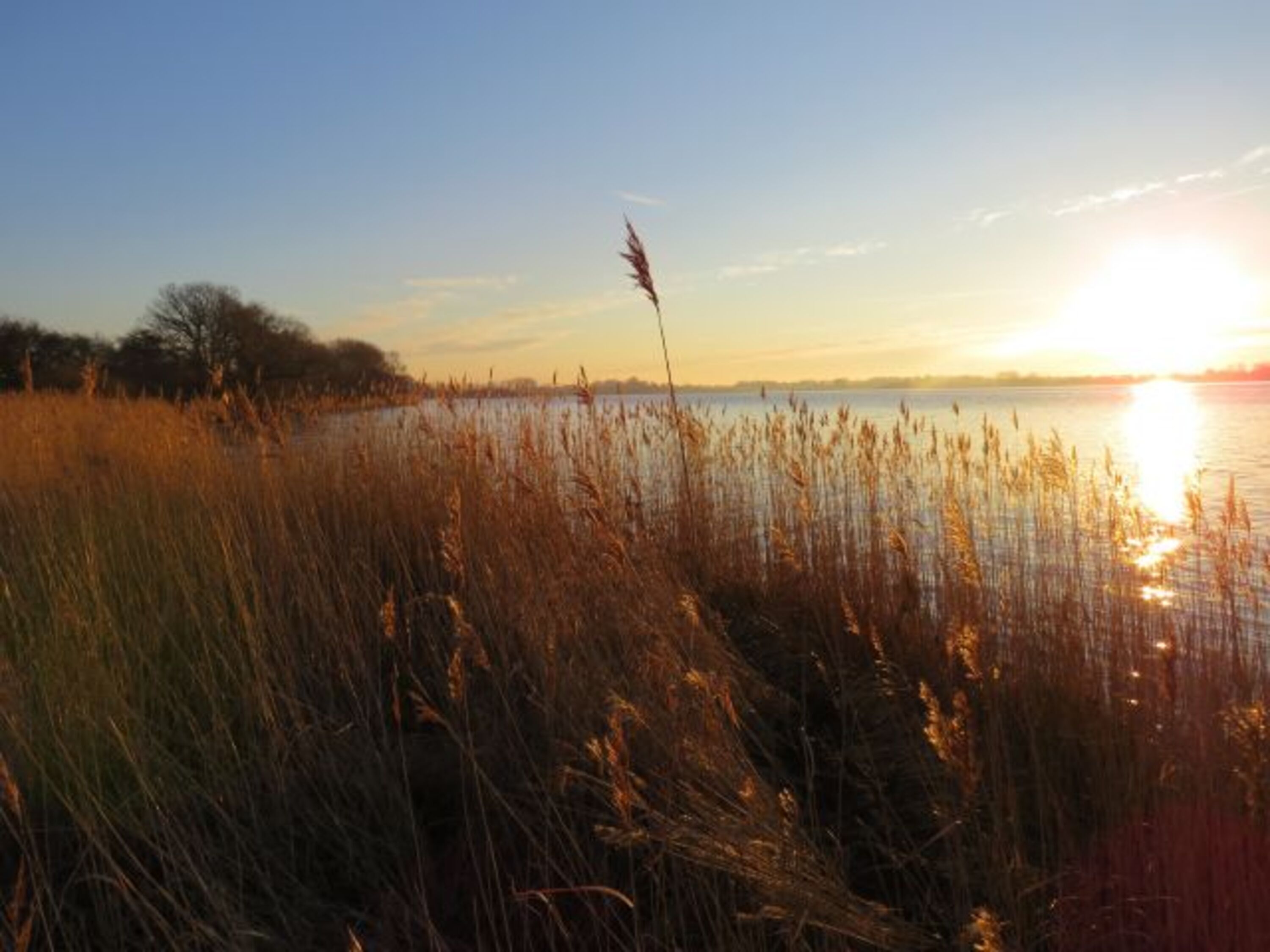 Sonnenaufgang an der Schlei