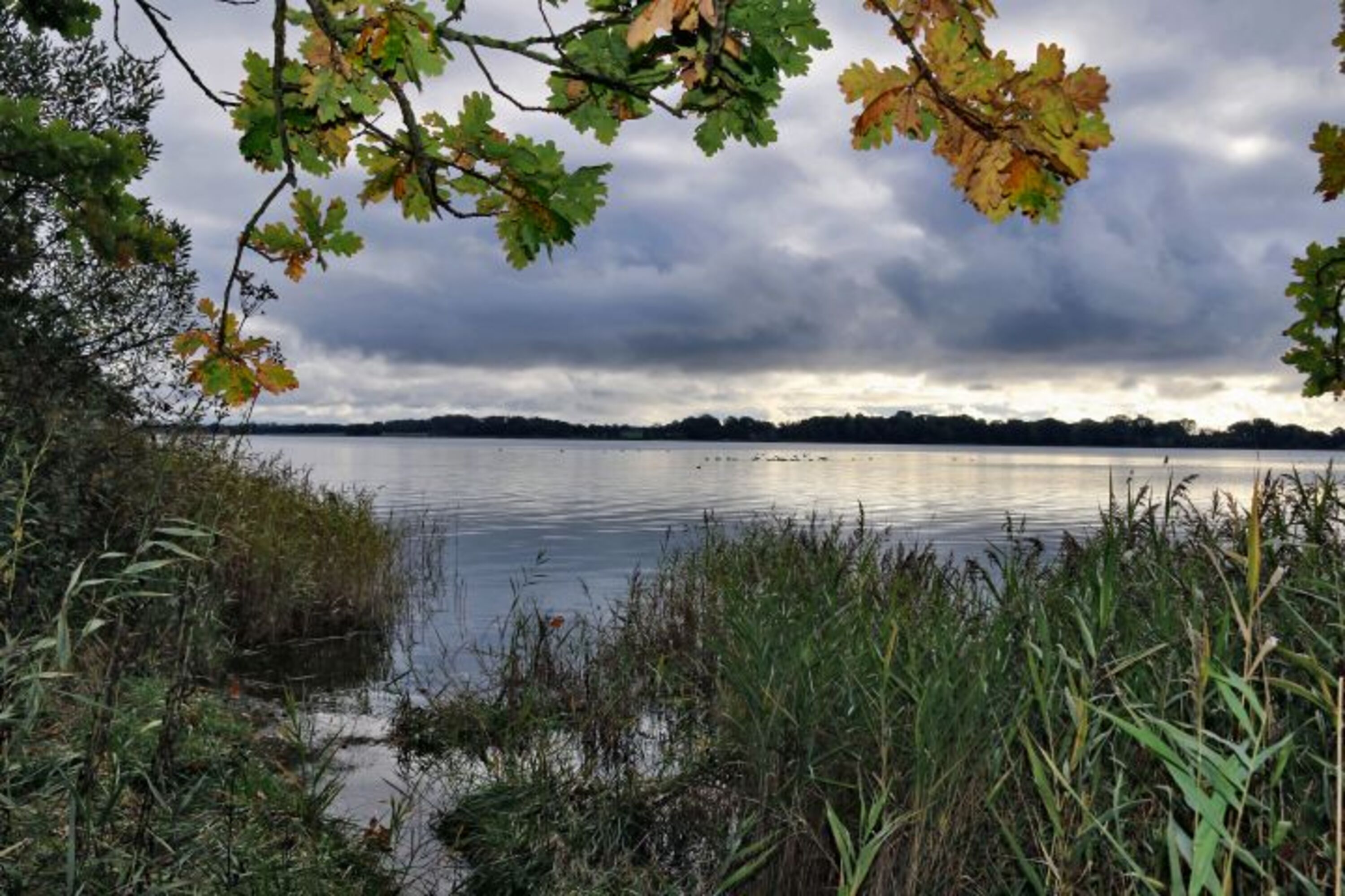 Urlaub in der Schleiregion