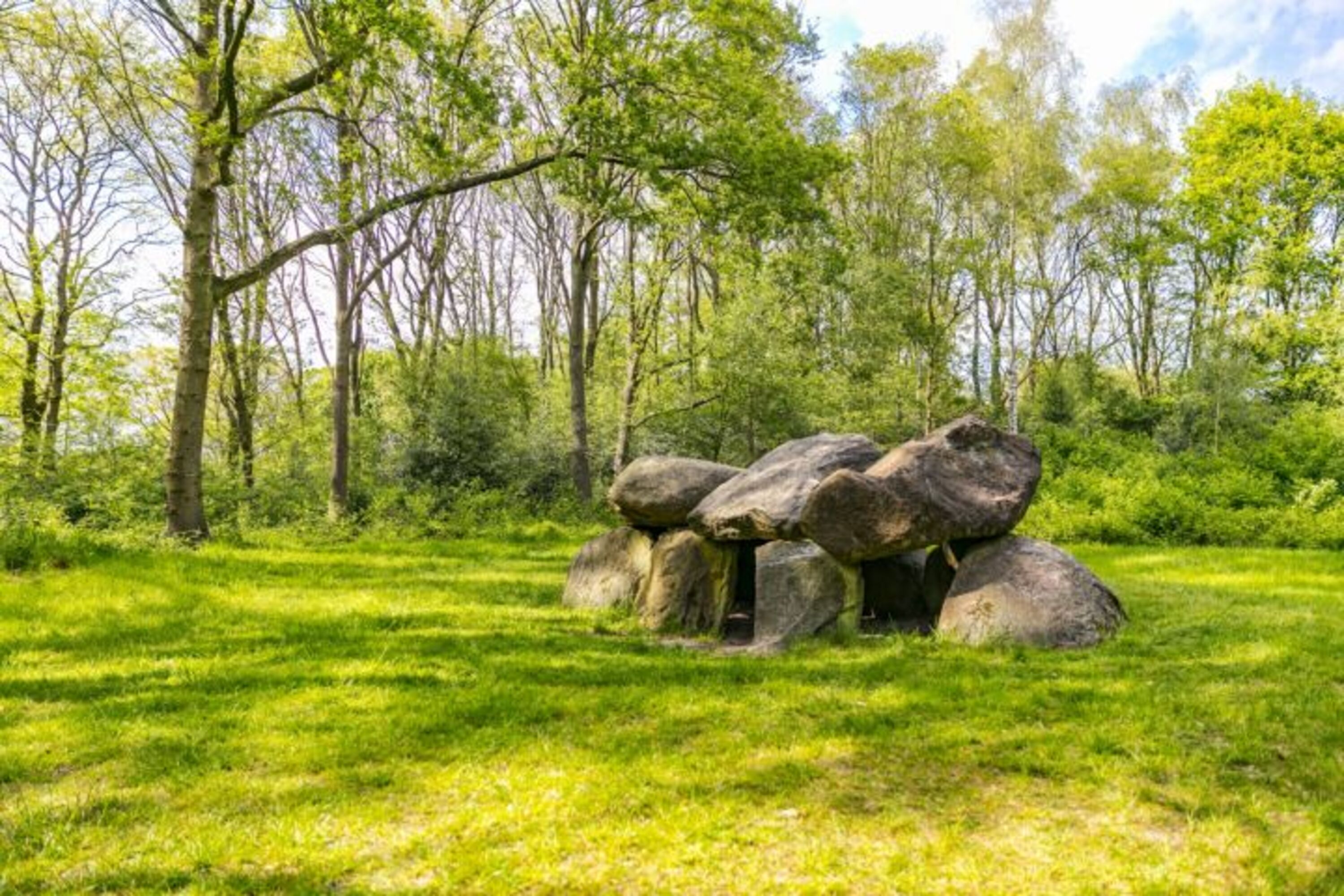 Bild 16