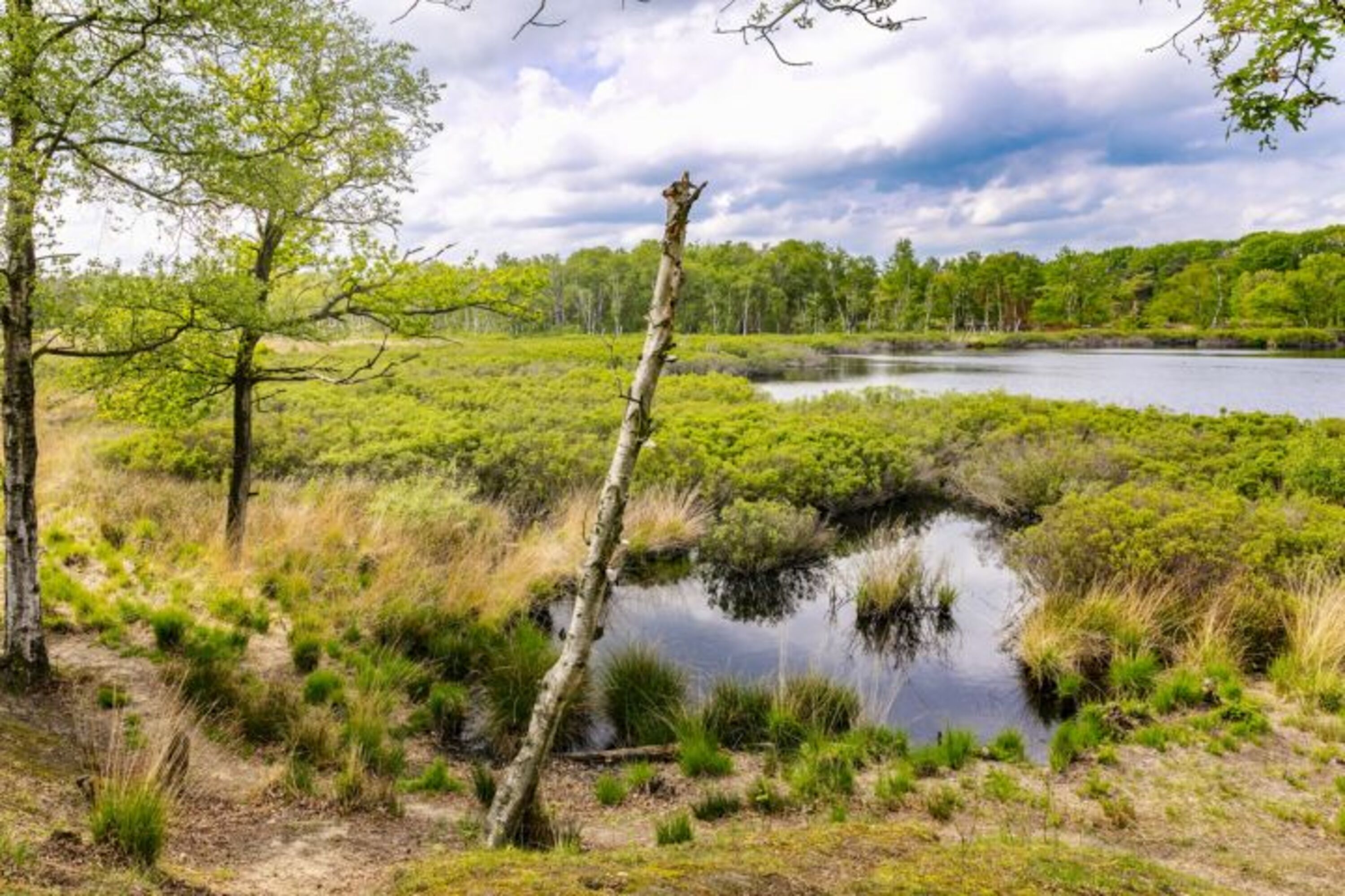 Bild 15