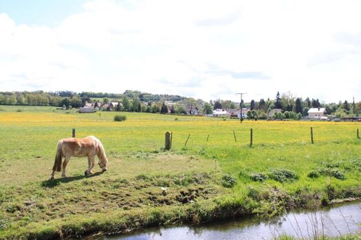 Bachlauf vor dem Haus