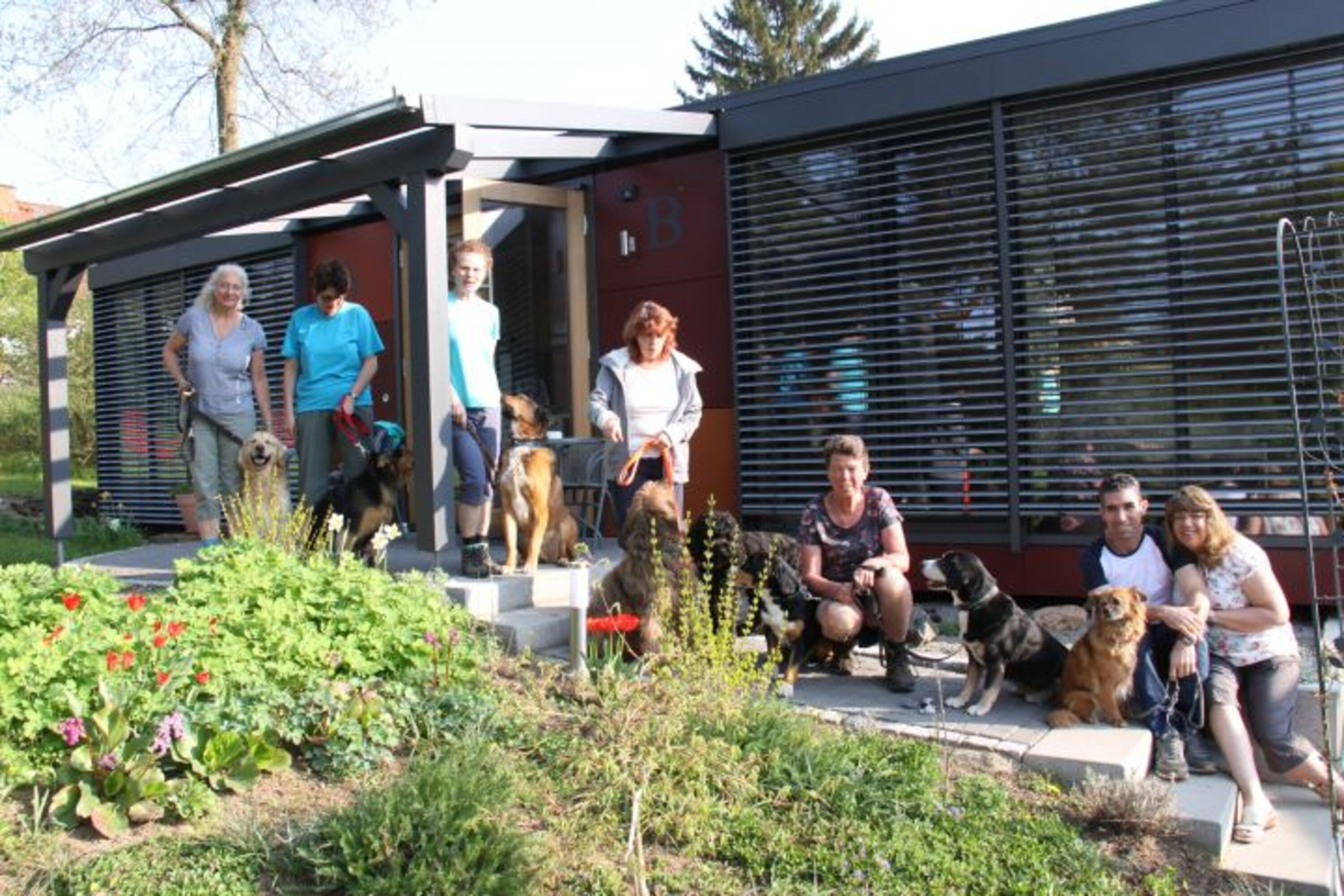 Menschen und Hunde