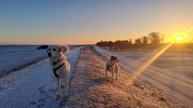 auch im Winter schön