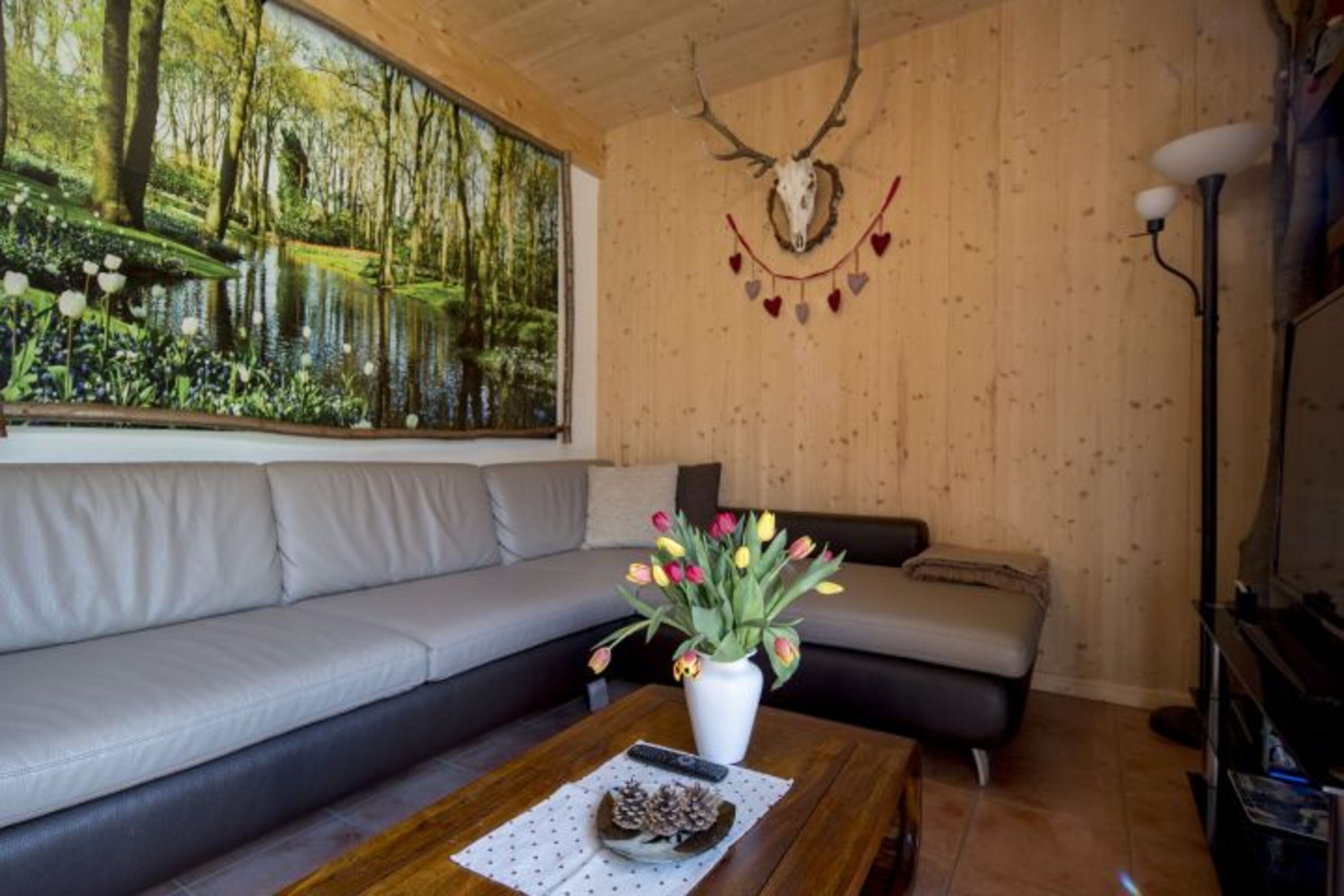 Bild 11
