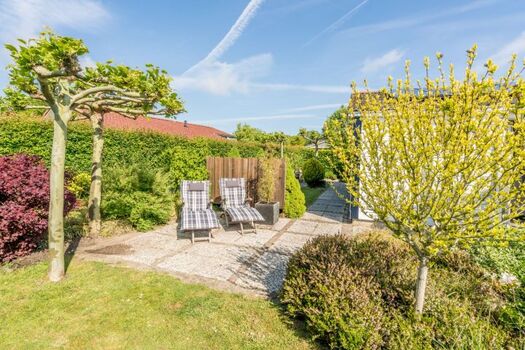 Der sonnige Garten mit Liegen