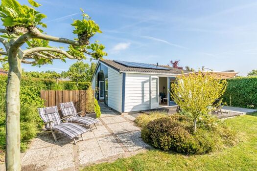 Der sonnige Garten mit Liegen