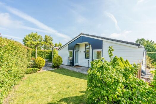 Der schöne, eingezäunte Garten