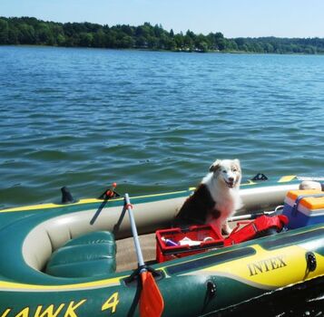 Hilde liebt das Schlauchboot.Hier auf dem großen Pönitzer See
