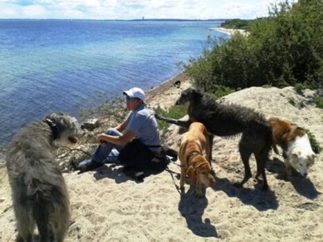 Ausflug mit meinen Pflegehunden nach Sierksdorf.