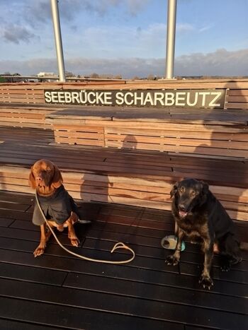 Sir Henry und Emil auf der Seebrücke.