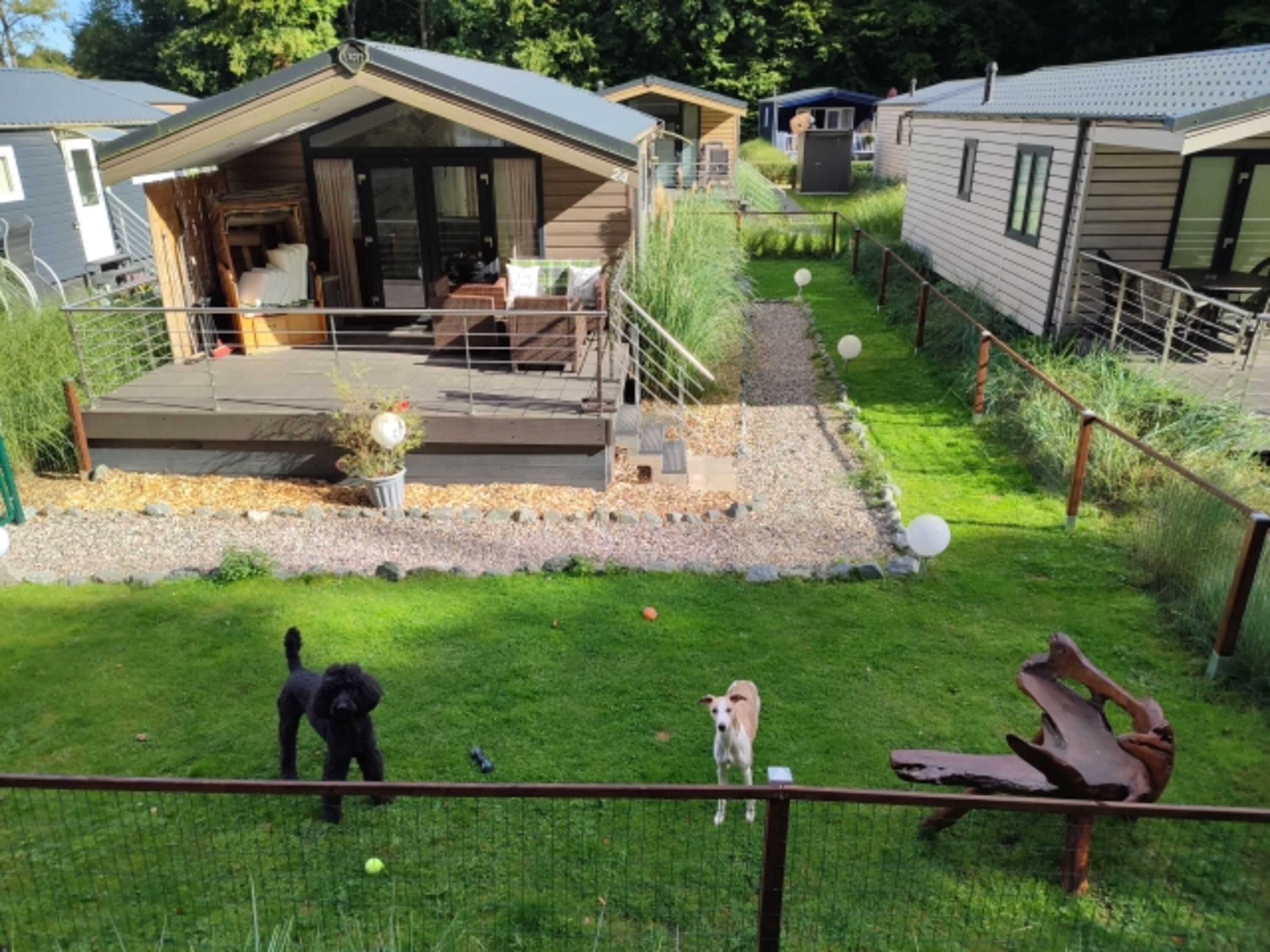 Die Hunde können sich frei auf dem Grundstück bewegen.