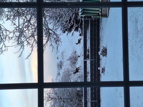 Kombüse mit Essecke und Dünenblick 