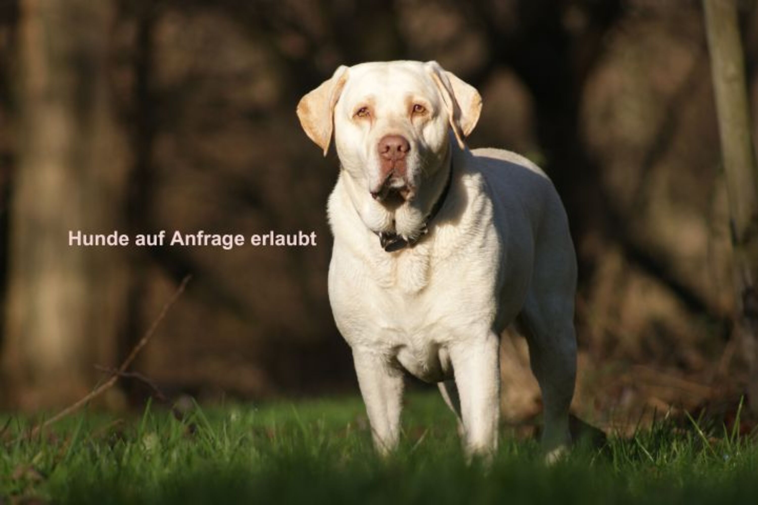 Bild 16