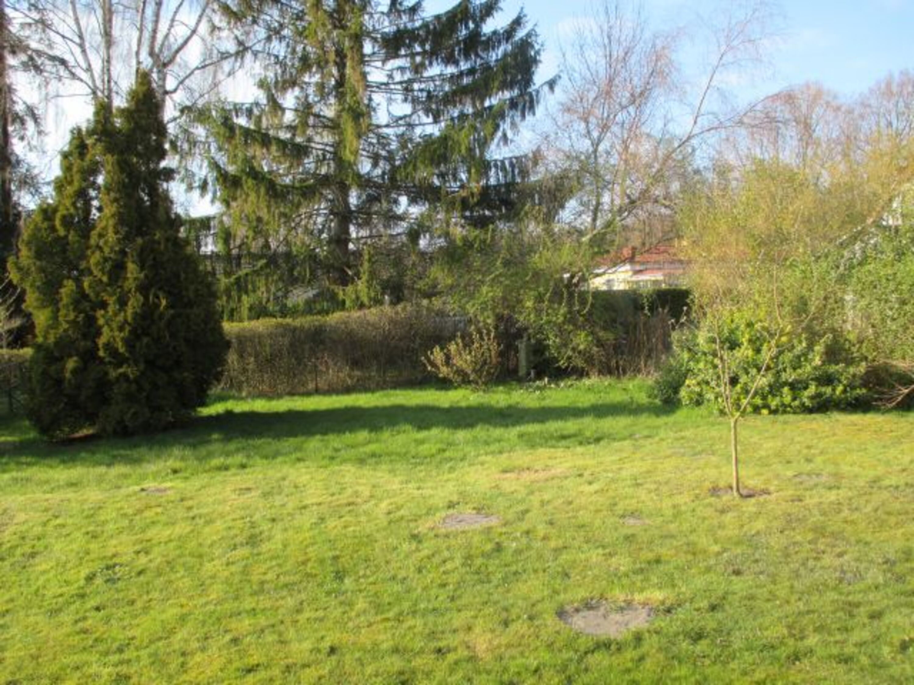 Naturgarten 