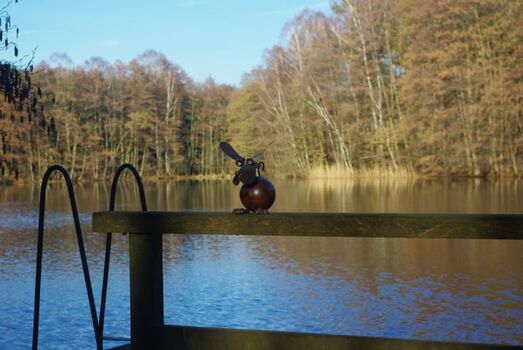 Februar 2019, kleine Impressionen 