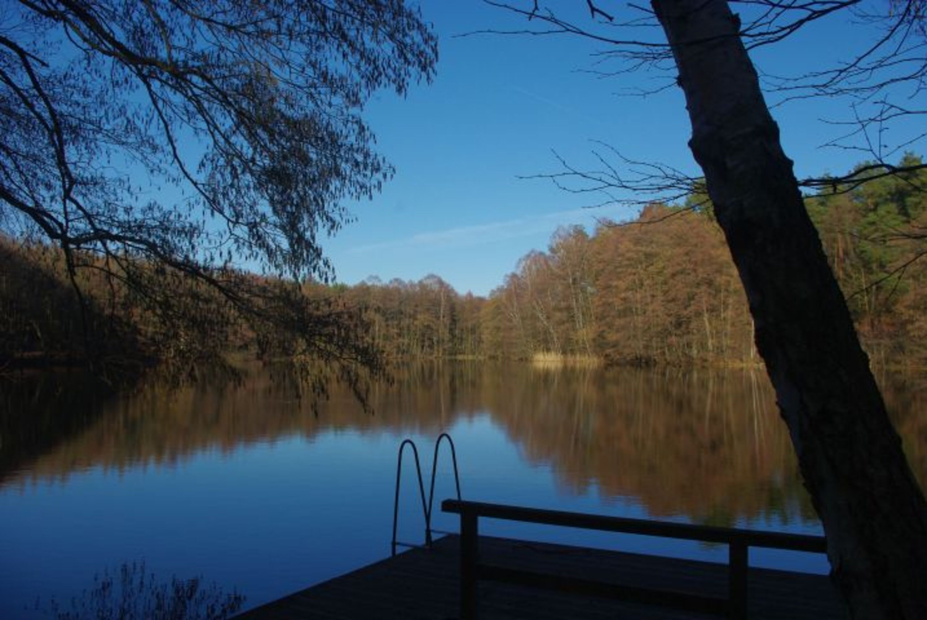 Februar 2019 , kleine Impressionen