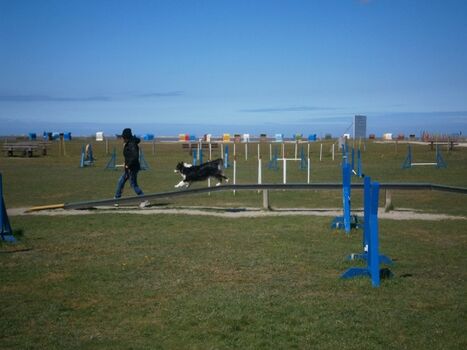 Hundestrand Nessmersiel mit Agility Parcours