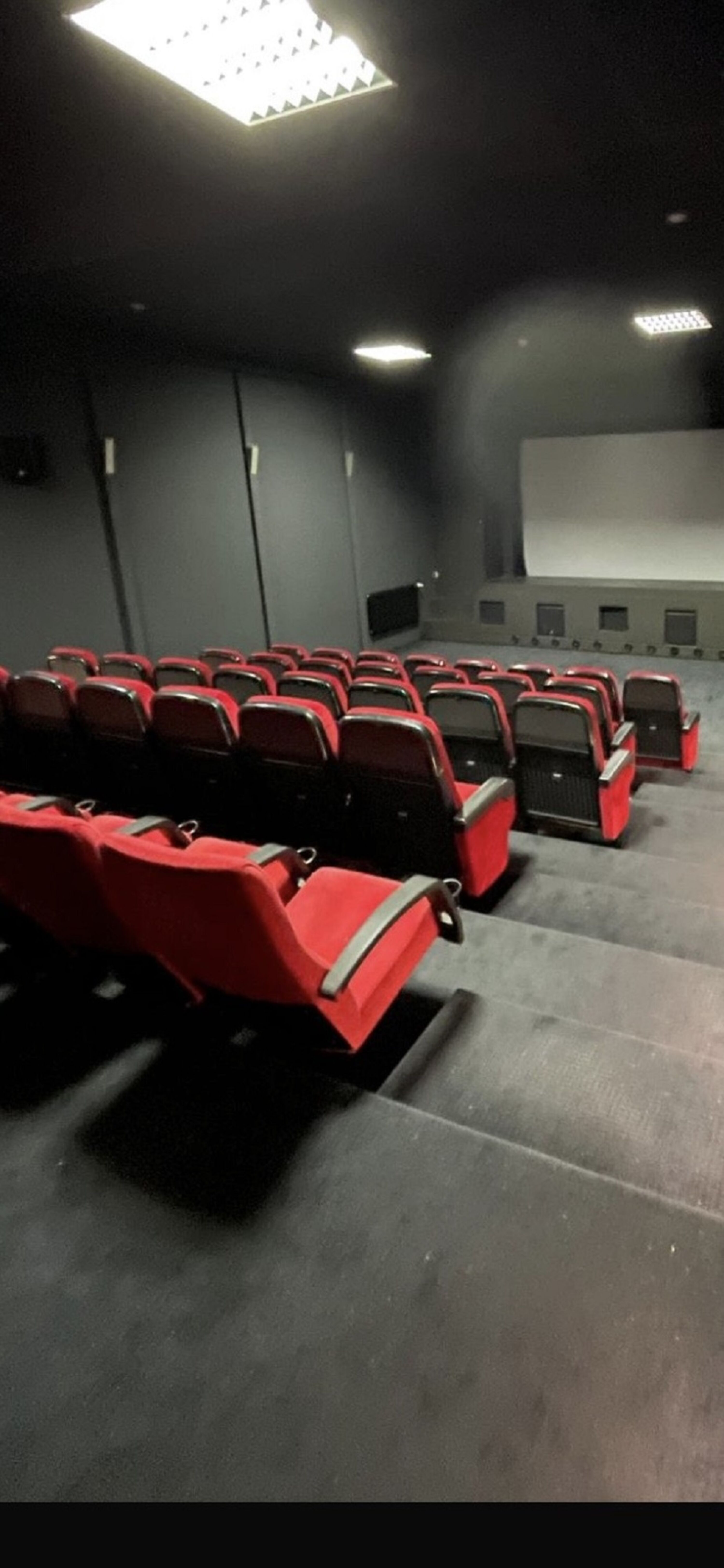 Kino - täglich neue Kinderfilme