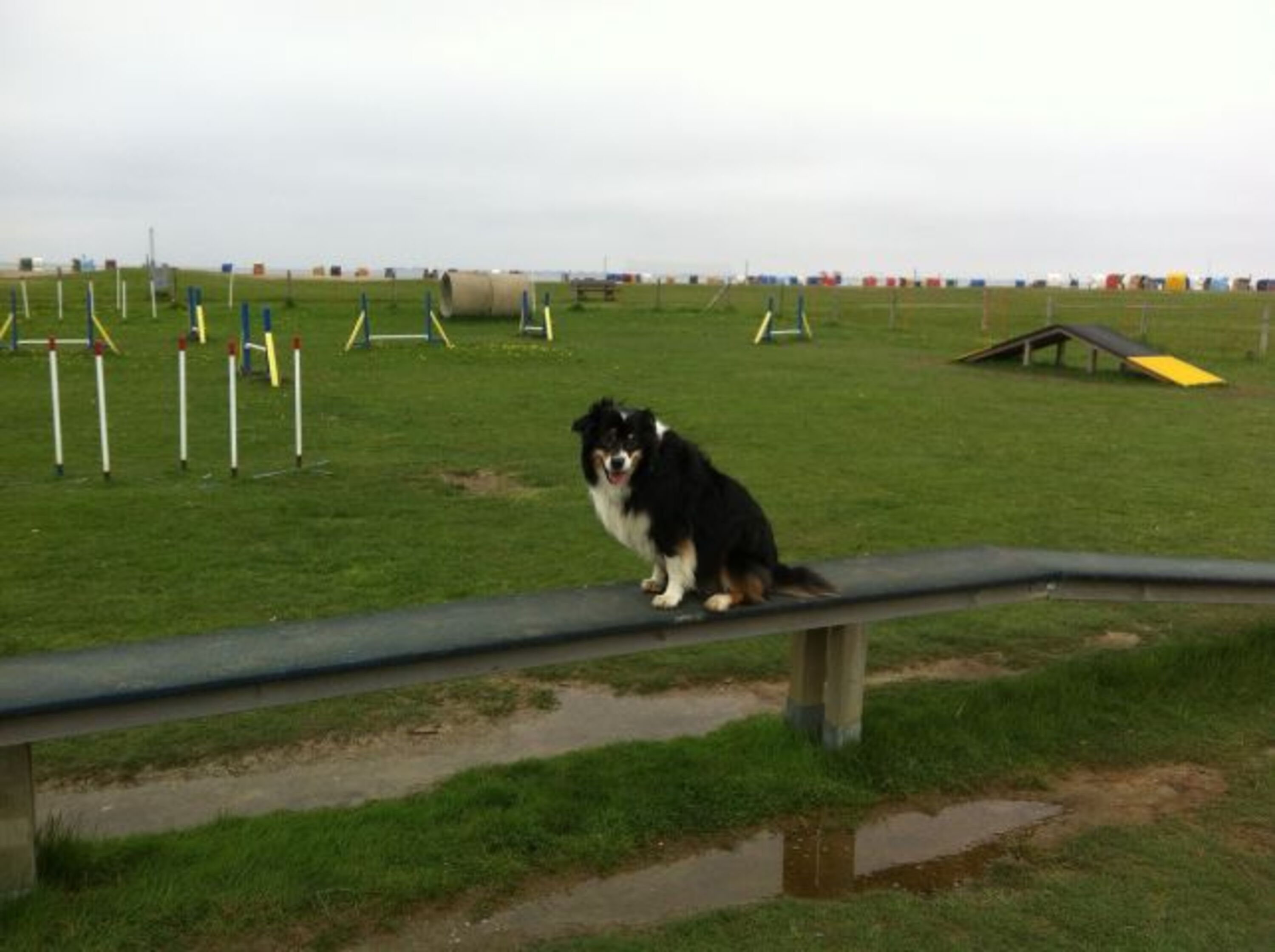 Agility Parcours am Strand - direkt am Hundestrand