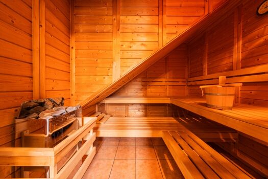 Reetdachhaus Kranich - Sauna im EG