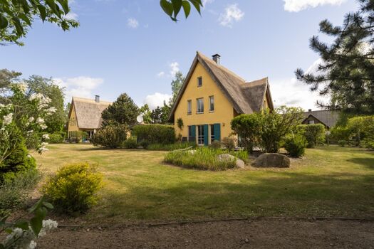 Reetdachhaus "Möwe" in Krienke