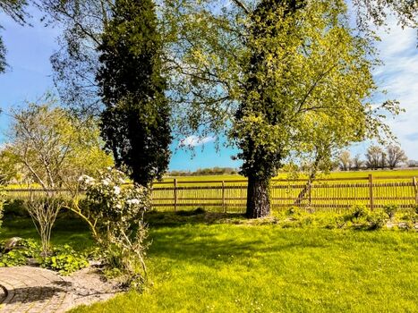 Erneuerter Zaun gesamtes Grundsütck