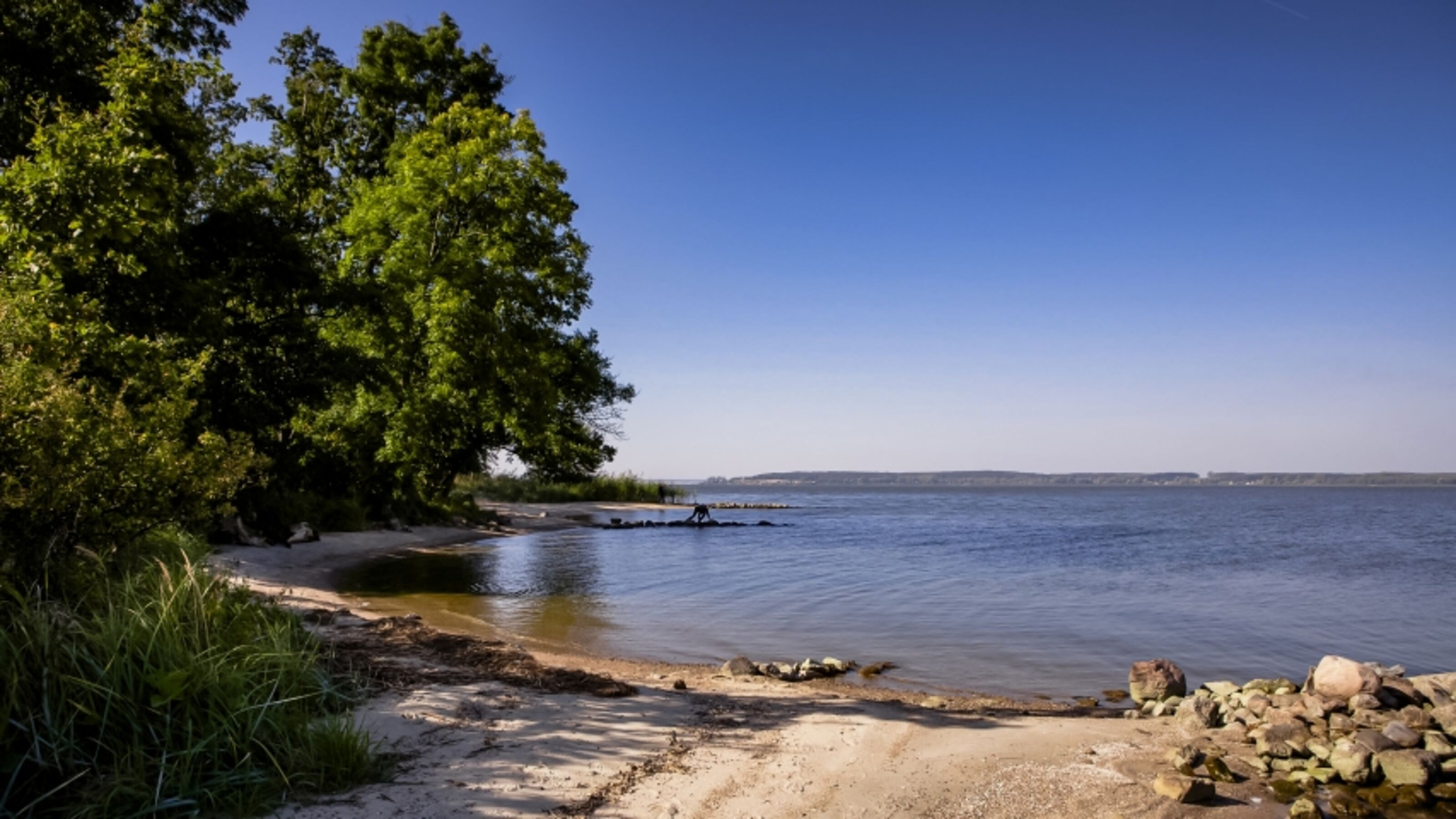 Naturbadestelle in der Nähe