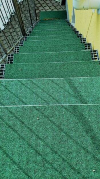 den wir für Hunde mit Rasenteppich belegt haben...