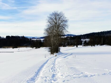 Perlseespaziergang im Winter