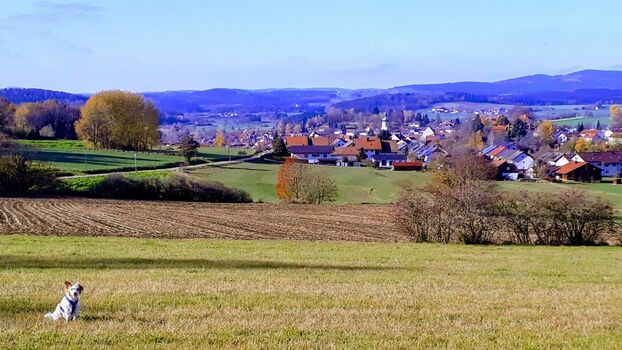 Waldmünchen in der goldenen Herbstzeit
