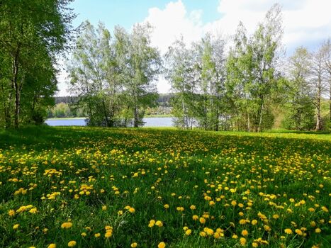Spaziergang um den Perlsee...