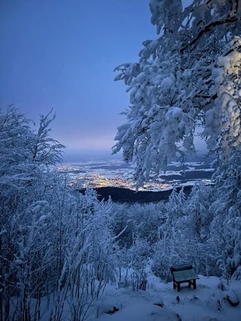 mit wunderbarem Blick auf den Oberen Bayerischen Wald