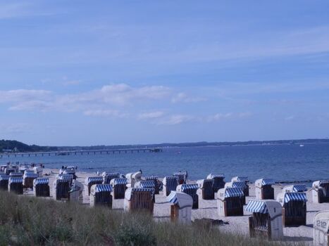  Hunde Strand Niendorf