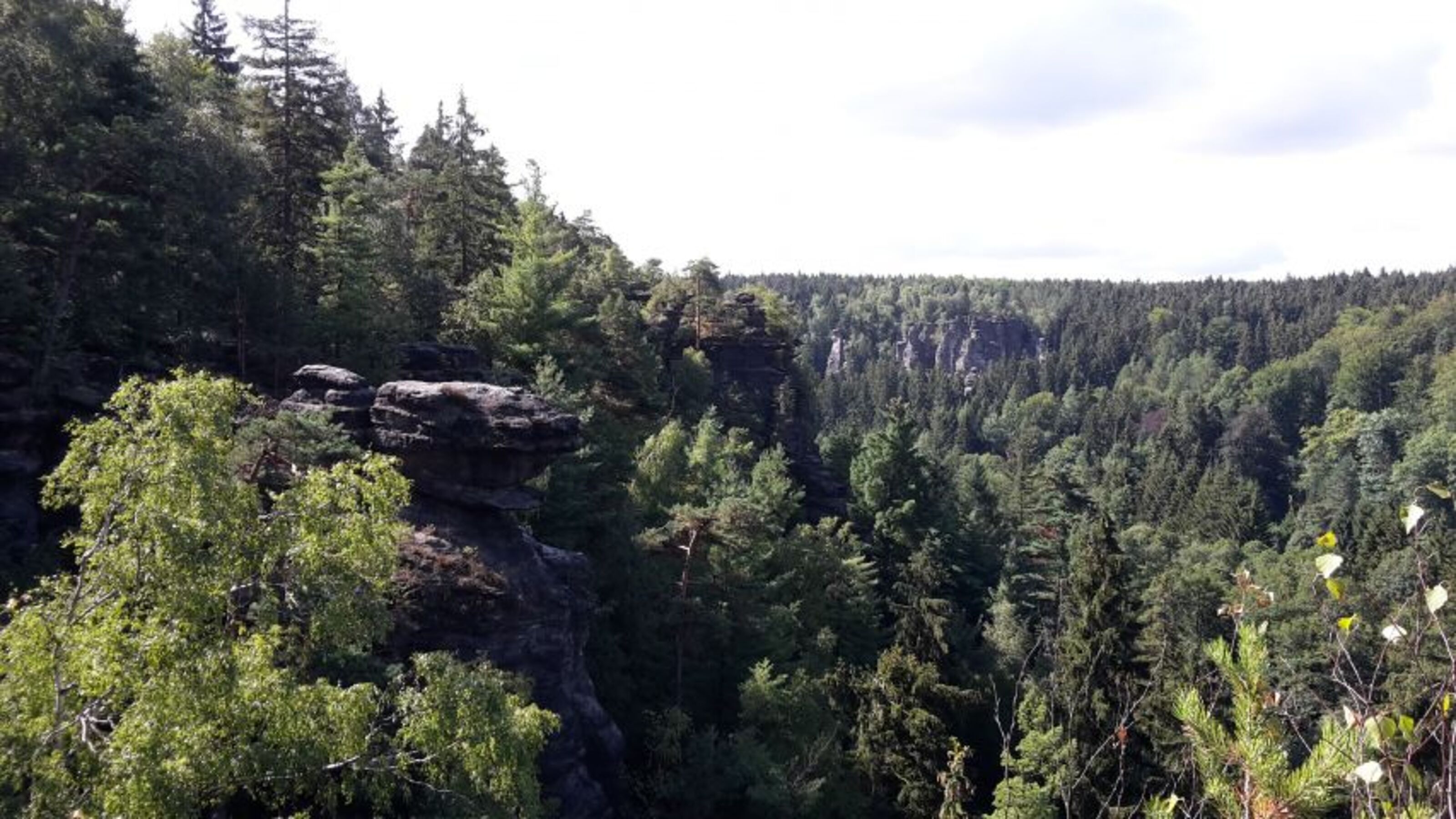 Bild 29