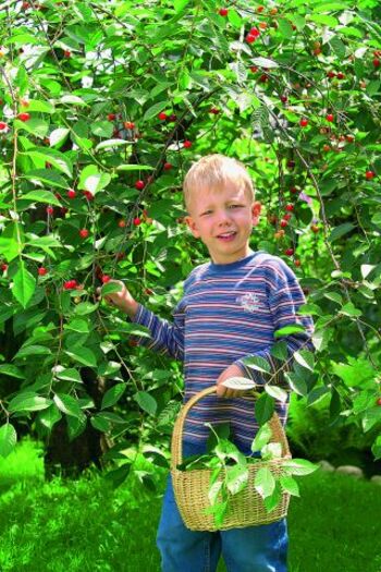 Die Kinder haben viel zu tun.