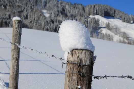 Neuschnee