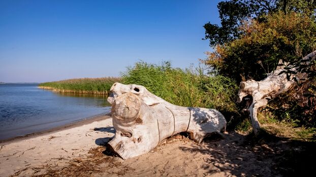 Lerchenhof Reestow - Naturbadestrand in der Nähe