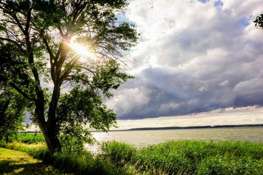 Lerchenhof Reestow- Spazierweg am Wasser entlang 4 km entfernt