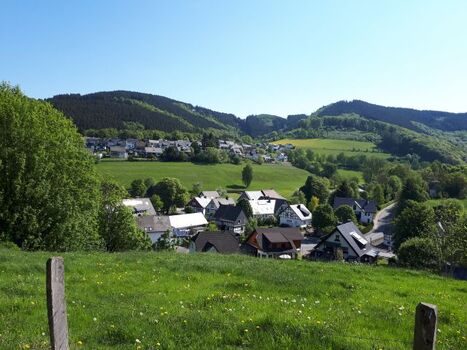 Blick von der gegenüberliegenden Talseite auf die Häuser am Wald  